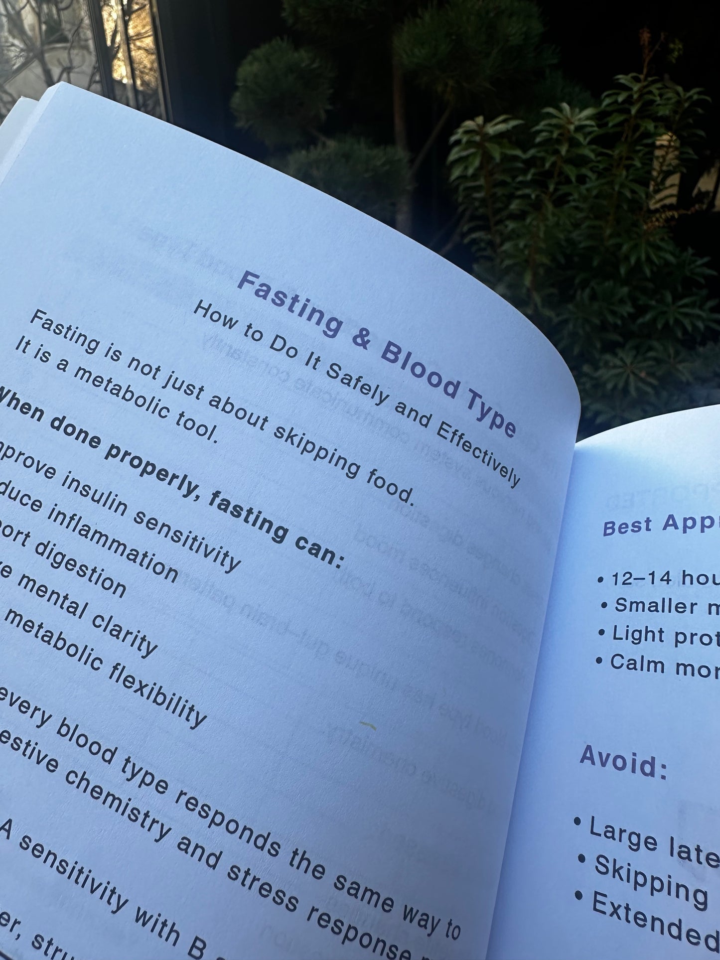 The Blood Type Wellness Guide™ : Personalized Nutrition & Lifestyle Support