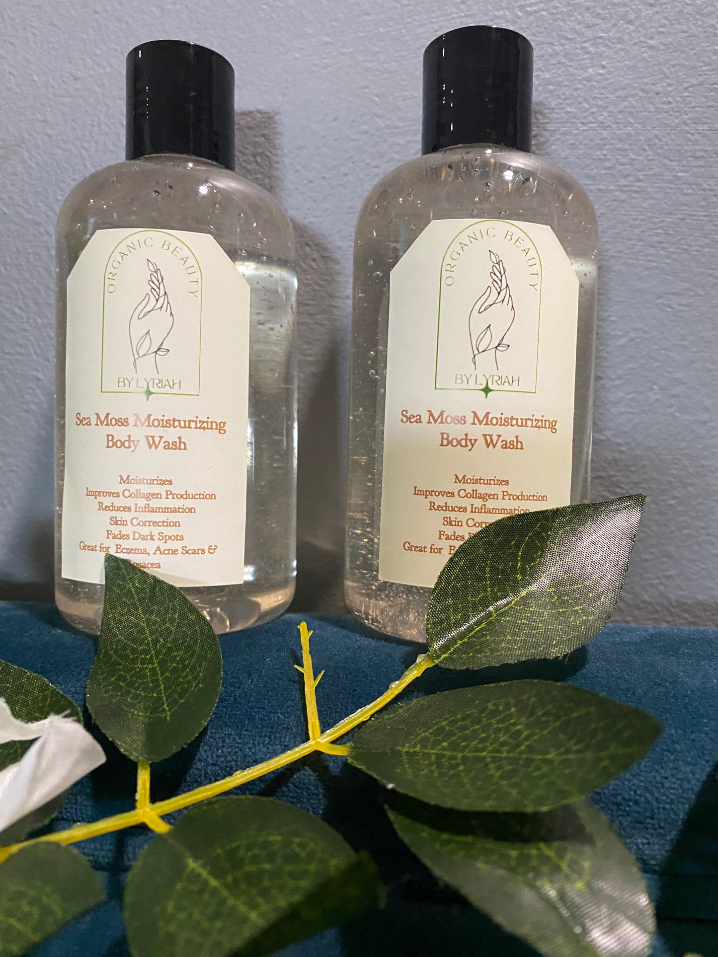 Sea Moss & Niacinamide Body Wash